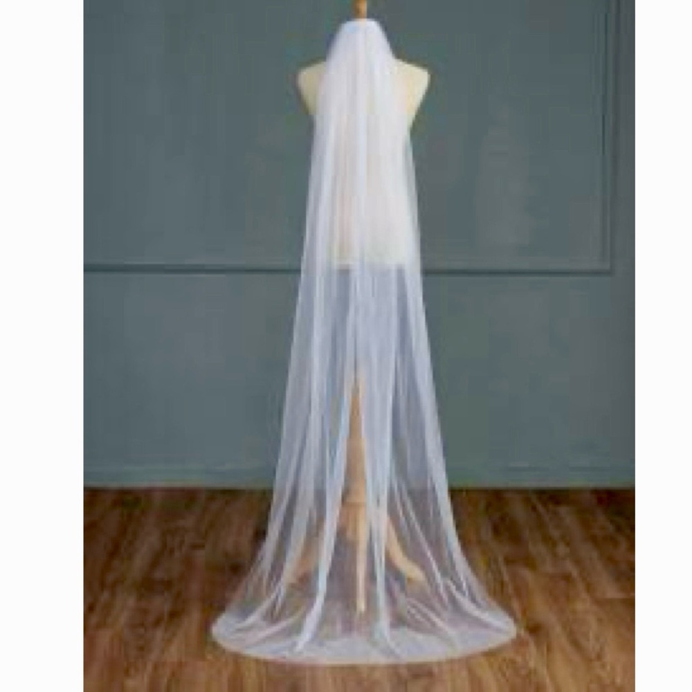 NWT White Veil